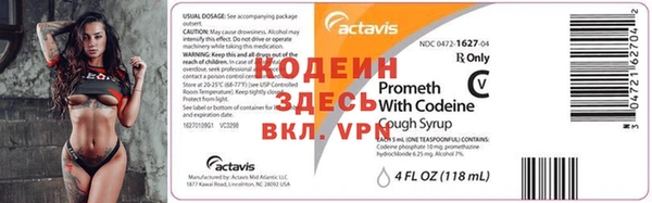 ГАЛЛЮЦИНОГЕННЫЕ ГРИБЫ Кукмор