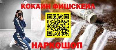 гашик Моздок