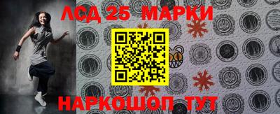 гашик Моздок
