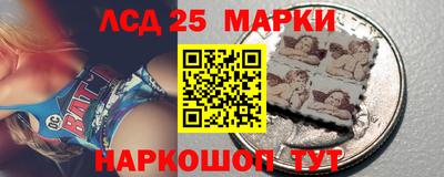 гашик Моздок