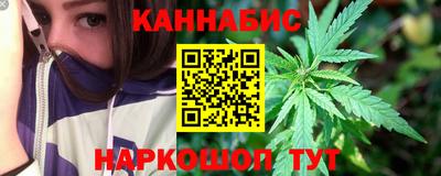 гашик Моздок