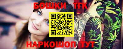 гашик Моздок