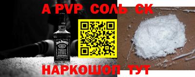 гашик Моздок