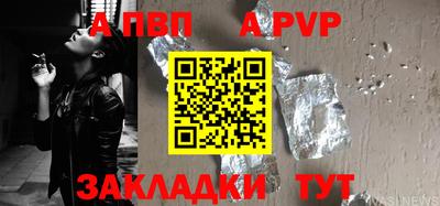 гашик Моздок