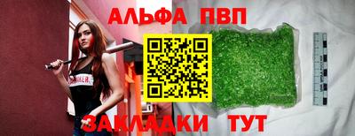 гашик Моздок