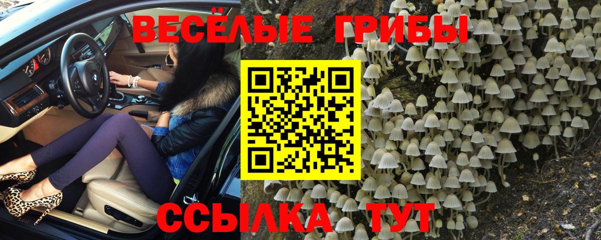 Псилоцибиновые грибы прущие грибы Усинск