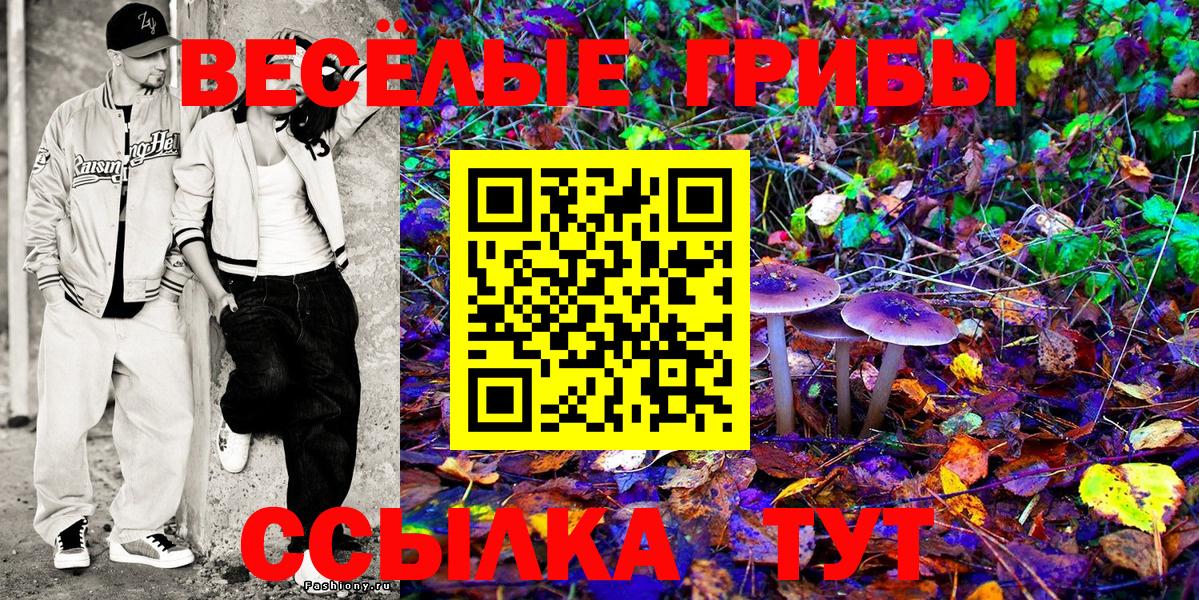 Псилоцибиновые грибы мицелий  Усинск  наркошоп  Галлюциногенные грибы Cubensis 